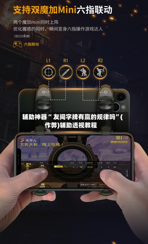 辅助神器“ 友间字牌有赢的规律吗”(作弊)辅助透视教程