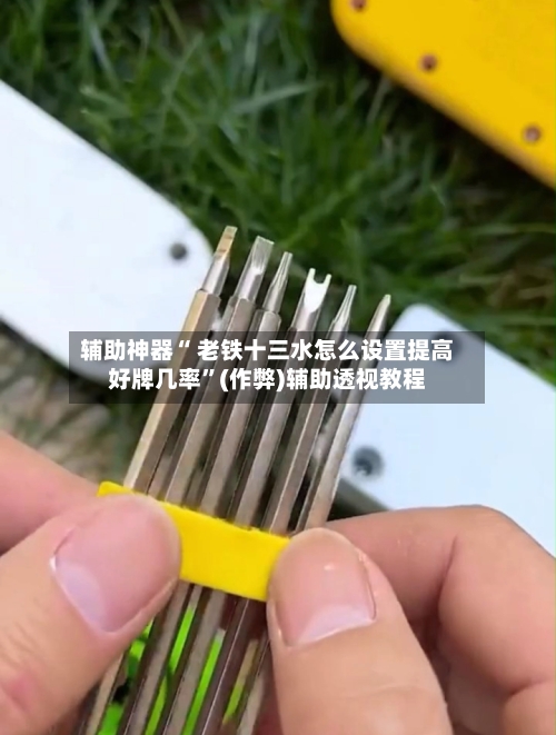辅助神器“ 老铁十三水怎么设置提高好牌几率”(作弊)辅助透视教程-第2张图片