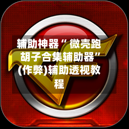 辅助神器“ 微壳跑胡子合集辅助器”(作弊)辅助透视教程-第2张图片