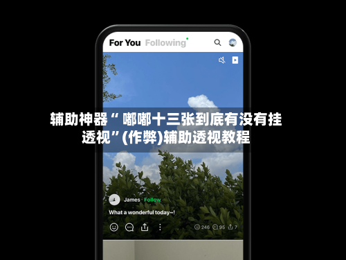 辅助神器“ 嘟嘟十三张到底有没有挂透视”(作弊)辅助透视教程-第2张图片