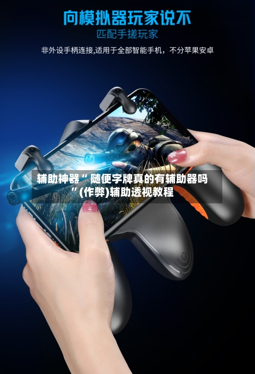 辅助神器“ 随便字牌真的有辅助器吗”(作弊)辅助透视教程-第2张图片