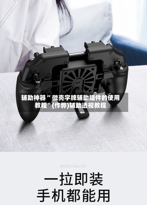 辅助神器“ 微壳字牌辅助插件的使用教程”(作弊)辅助透视教程-第2张图片