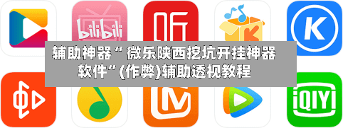 辅助神器“ 微乐陕西挖坑开挂神器软件”(作弊)辅助透视教程-第2张图片