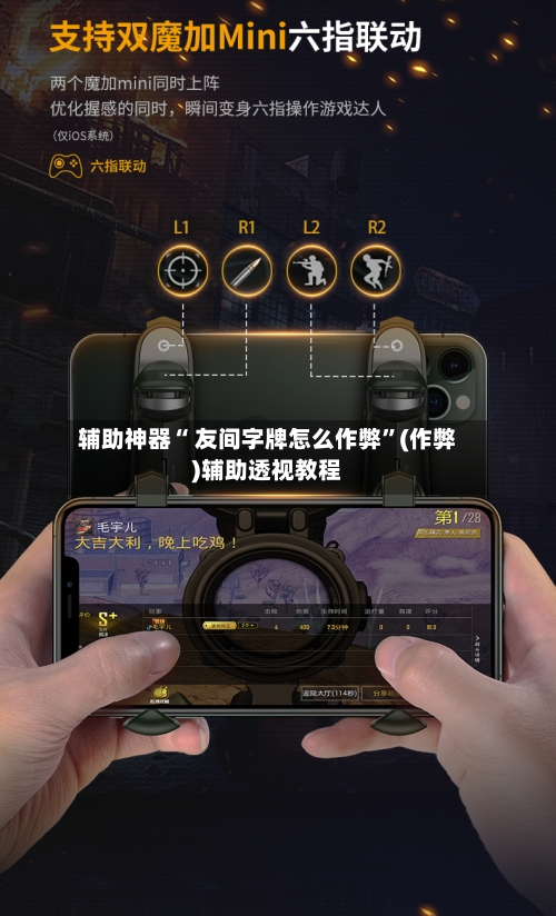 辅助神器“ 友间字牌怎么作弊	”(作弊)辅助透视教程-第3张图片