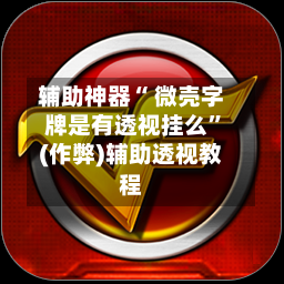辅助神器“ 微壳字牌是有透视挂么”(作弊)辅助透视教程-第2张图片