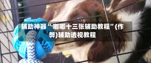 辅助神器“ 嘟嘟十三张辅助教程”(作弊)辅助透视教程-第3张图片
