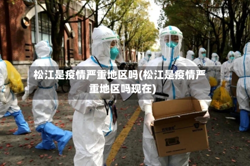 松江是疫情严重地区吗(松江是疫情严重地区吗现在)-第2张图片