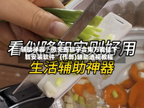 辅助神器“ 微壳跑胡子合集万能挂下载安装软件”(作弊)辅助透视教程