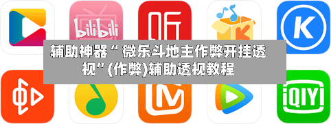辅助神器“ 微乐斗地主作弊开挂透视	”(作弊)辅助透视教程-第2张图片