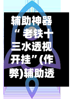 辅助神器“ 老铁十三水透视开挂”(作弊)辅助透视教程-第2张图片