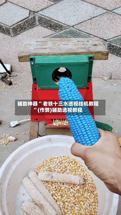 辅助神器“ 老铁十三水透视挂机教程”(作弊)辅助透视教程