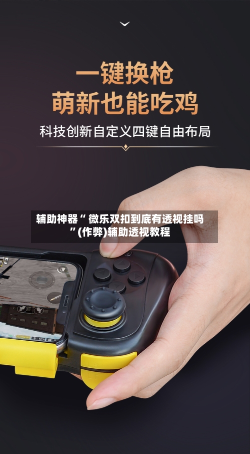 辅助神器“ 微乐双扣到底有透视挂吗”(作弊)辅助透视教程-第3张图片