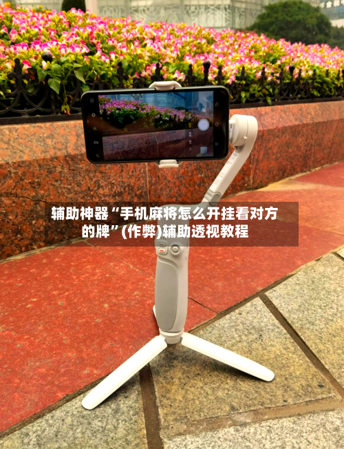 辅助神器“手机麻将怎么开挂看对方的牌”(作弊)辅助透视教程